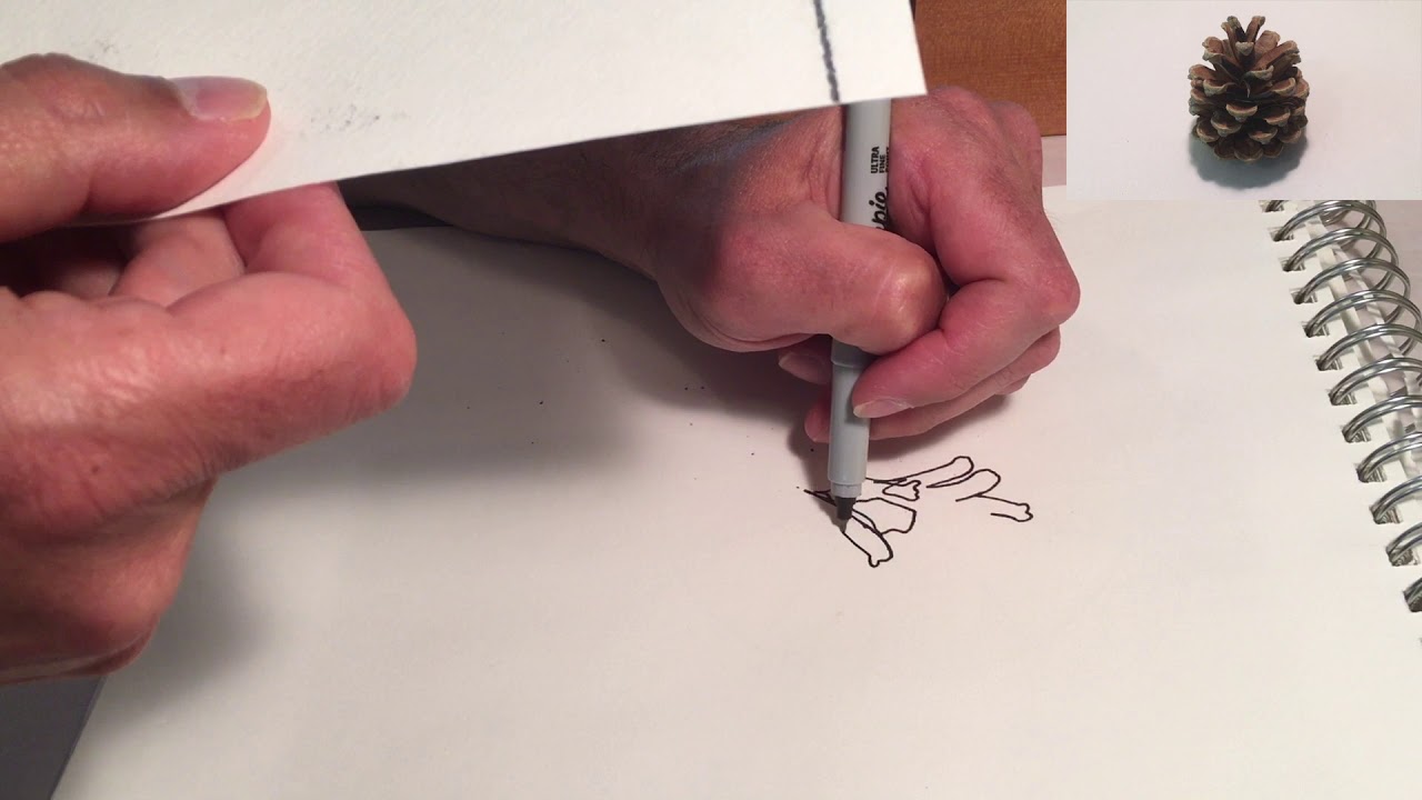 Blind Contour Drawing Exercise