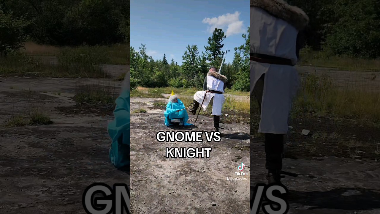Gnome vs Knight.  #gnome #knight #gnomevsknight #fantasy #medieval