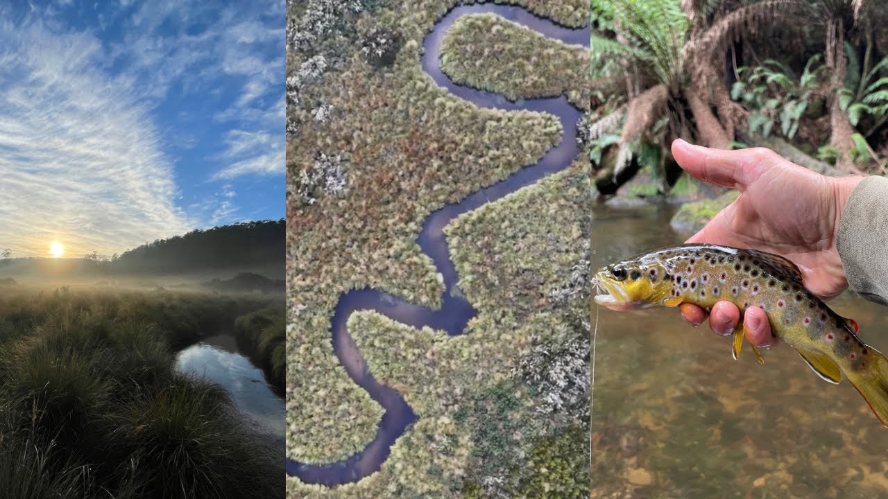 Exploring The Victorian High Country: Epic Fly Fishing Adventure