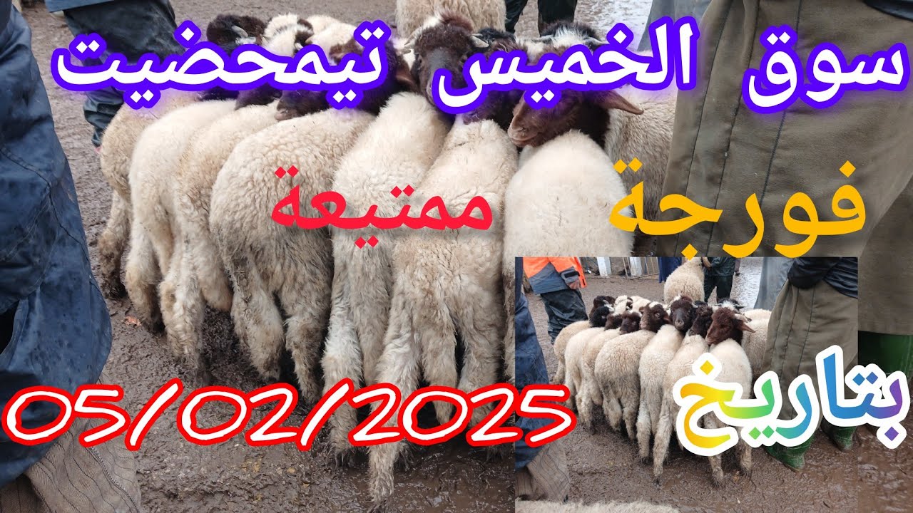 سوق الخميس تيمحضيت بتاريخ 05/02/2026 #اكسبلور 