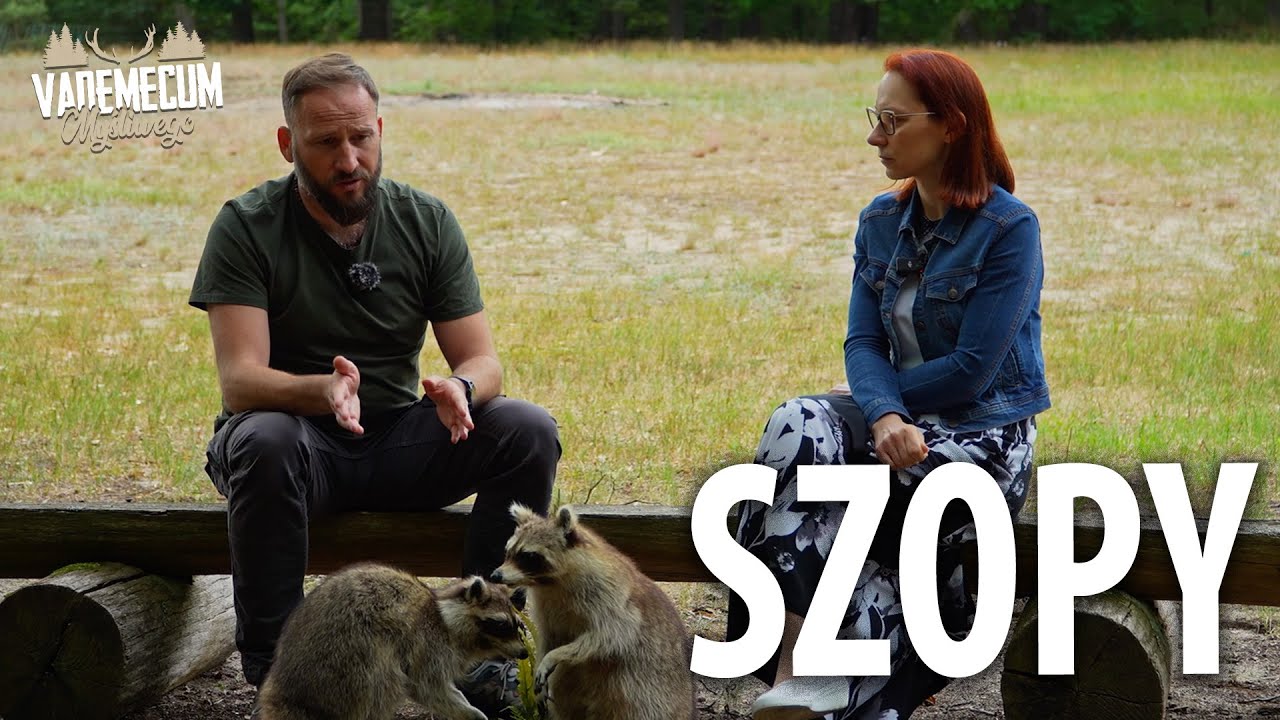 Szczera rozmowa o szopach