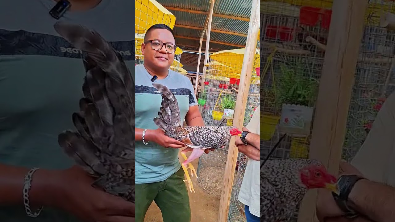 Visitamos las instalaciones del Glp Sol Bendito de Piura 