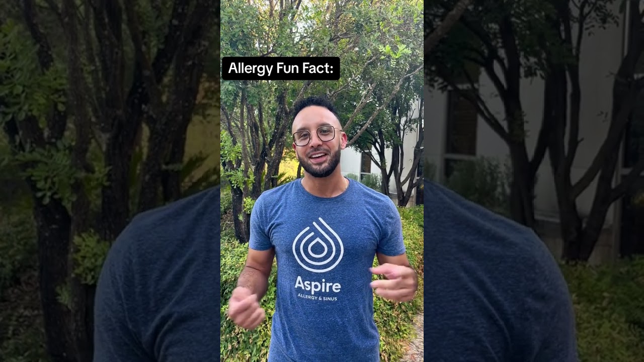 Allergy Fun Fact: Dust Mites