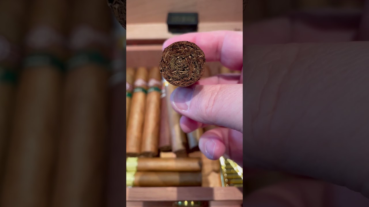 Romeo y Julieta Wide Churchills