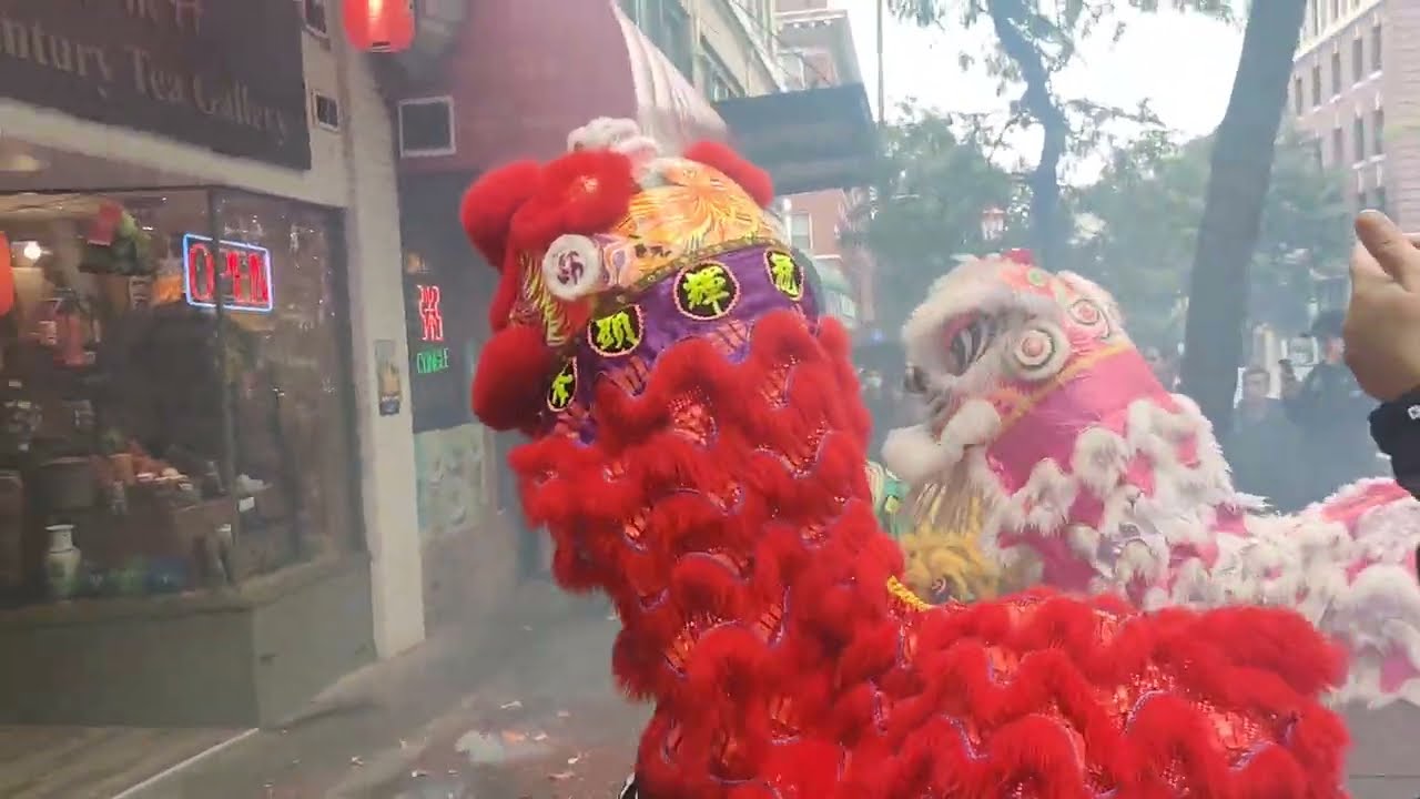 Traditional Lion Dance @ Mak Fai 50 Years Anniversary - Seattle Chinatown