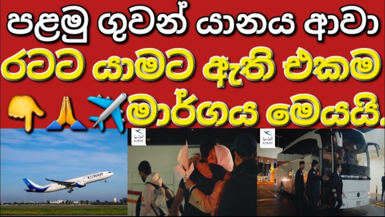 🇰🇼✈️☝️🧳රටට යාමට ඇති එකම මාර්ගය මෙයයි යාළුවනේ #sarfanbavlog #kuwaitsinhalanews #srilankabreakingnews