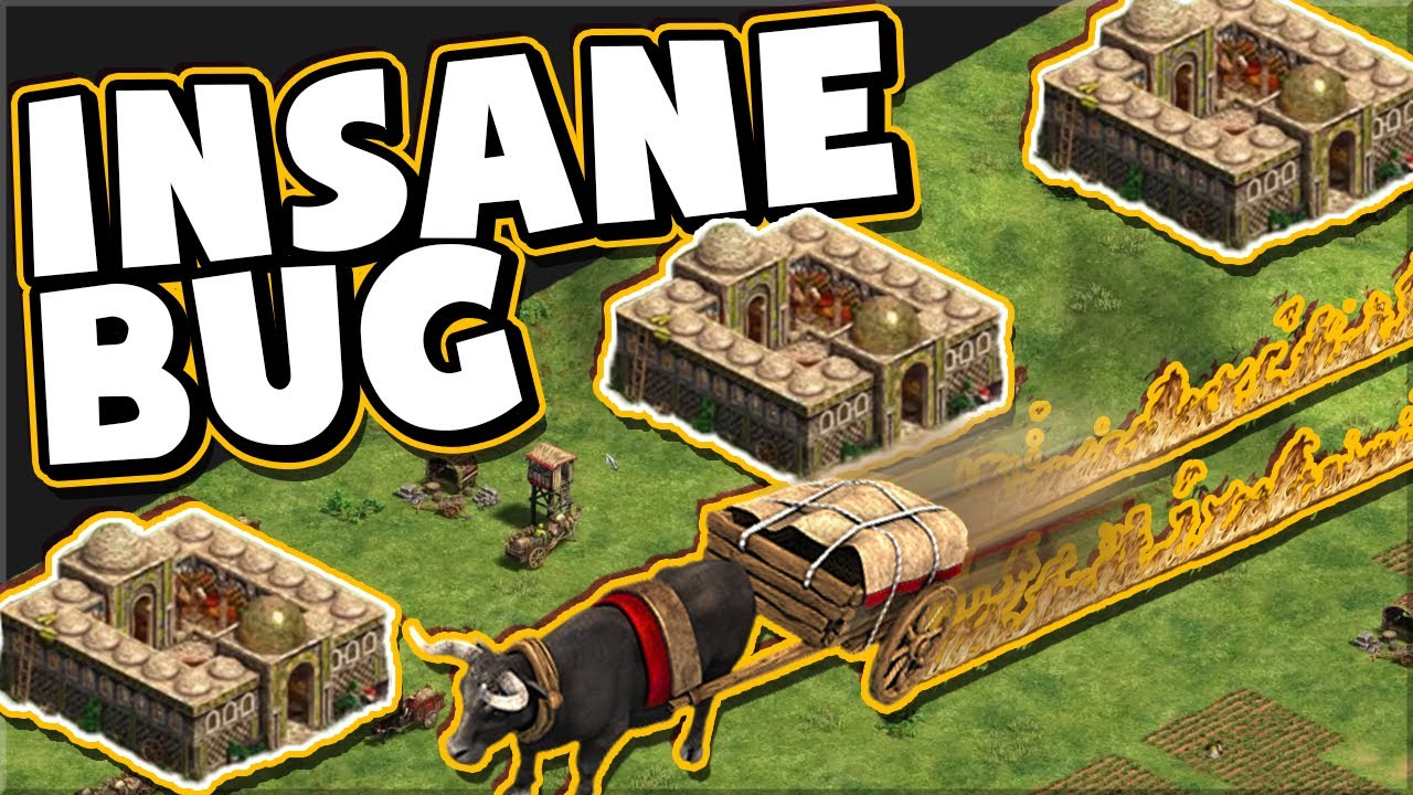 This AoE2 Bug is INSANE!