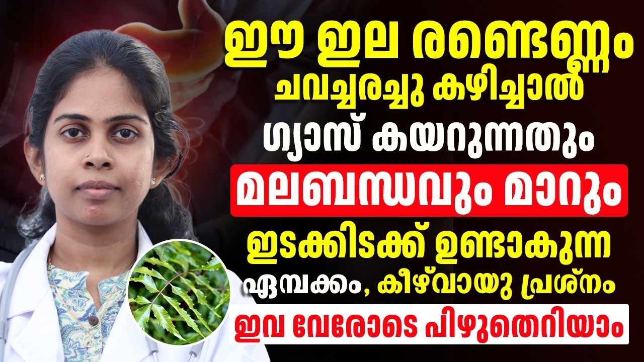 ഈ ഇല രണ്ടെണ്ണം കഴിച്ചാൽ മതി നിങ്ങളുടെ മലാൽബന്ധം പൂർണമായി മാറ്റം