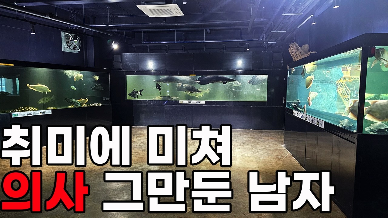대형어 수십마리 키우는데 얼마가 들까? 수백억취미에 미친 의사