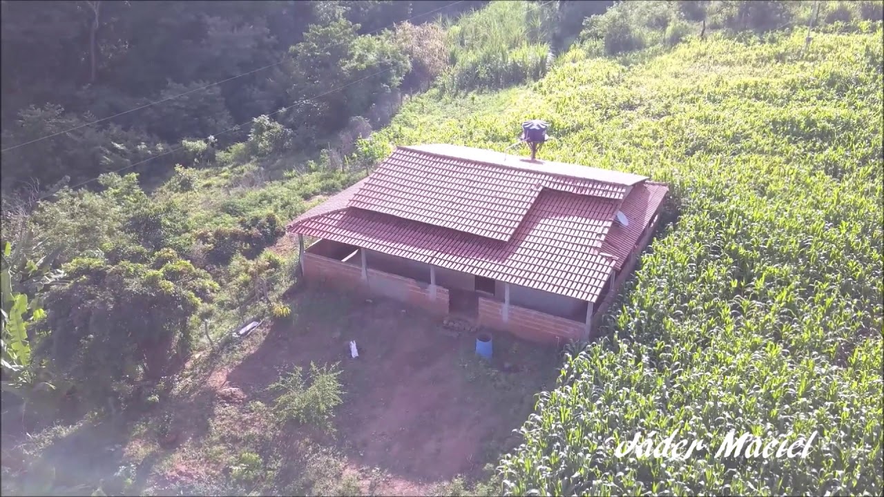 Mandassaia  Minas Gerais 2018