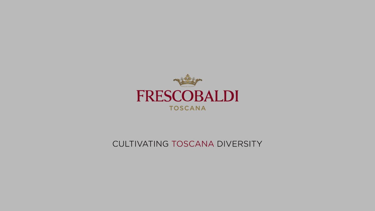 Tenuta Castiglioni – Where the Story Began 700 Years Ago – Frescobaldi