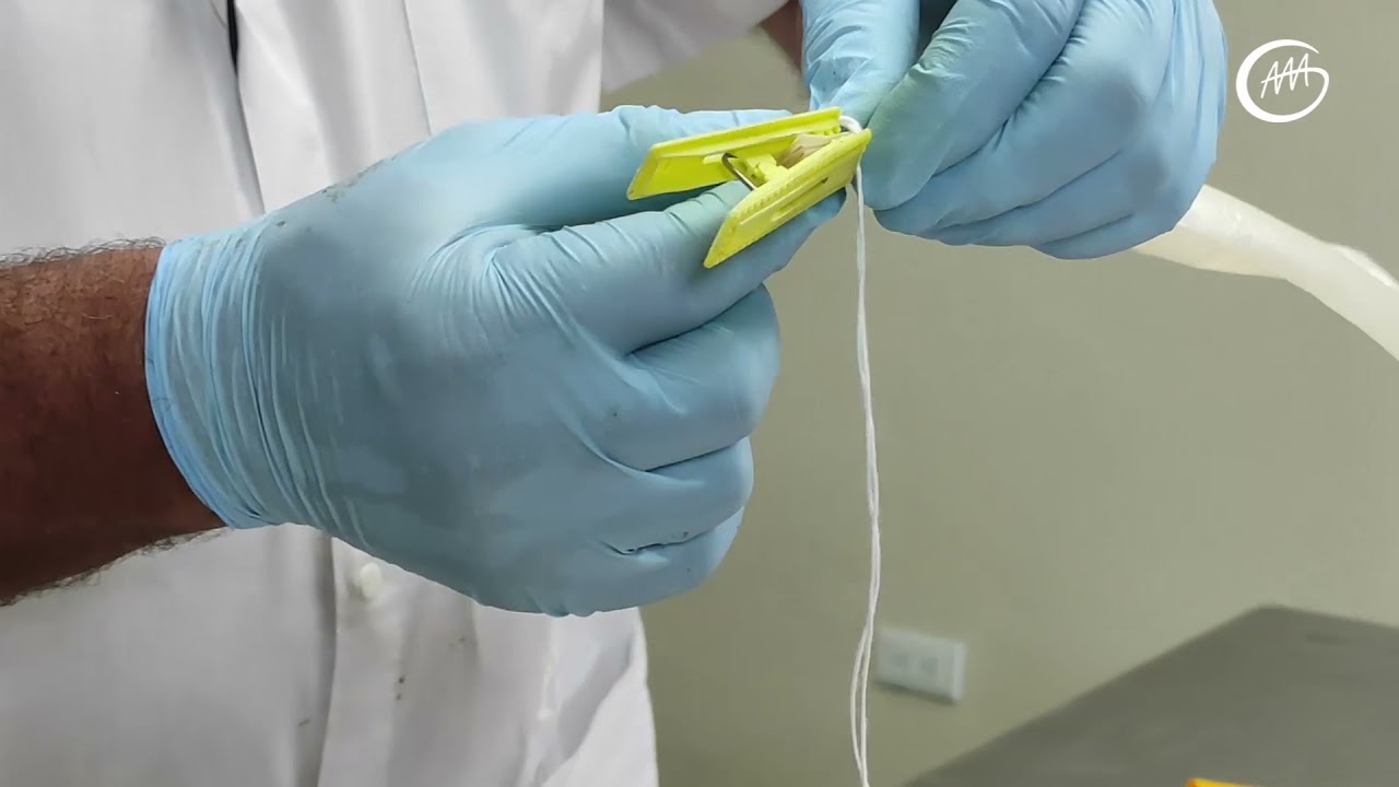 Tutorial amarrado de tripa