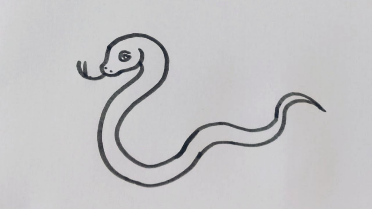 How to draw a Snake 🐍/Easy drawing step by step/Easy and simple snake drawing for kids.