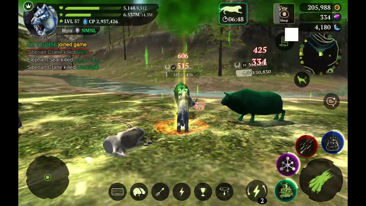 The tiger is the best, ✨️💓💕😝😝