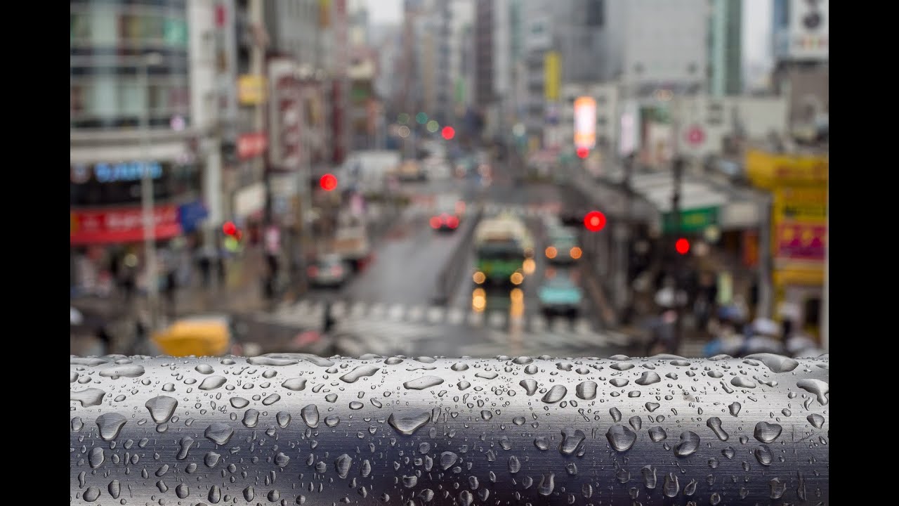 Winter Rain
