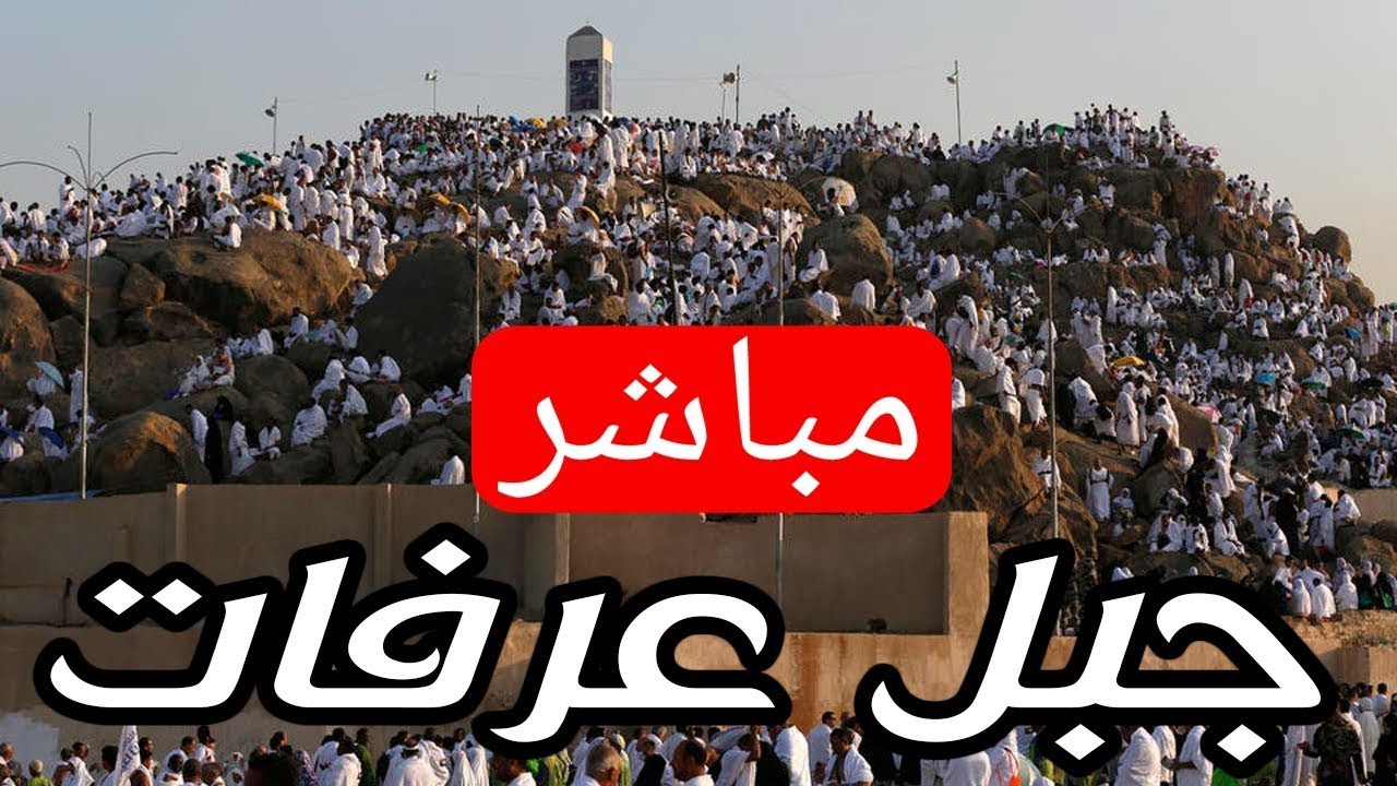 🔴 مباشر جبل عرفات الان حجاج بيت الله يتوجهون الي عرفات