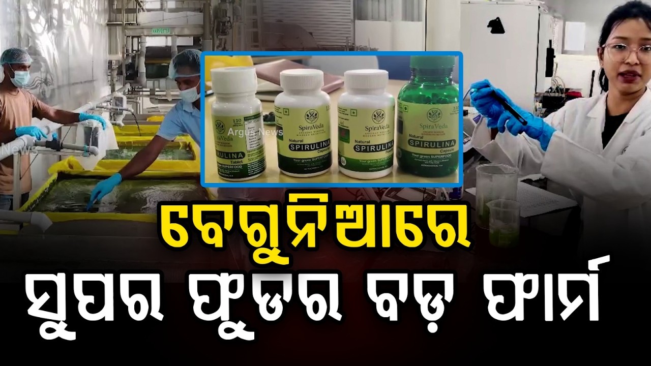 ବେଗୁନିଆରେ ସୁପର ଫୁଡର ବଡ଼ ଫାର୍ମ | Good News