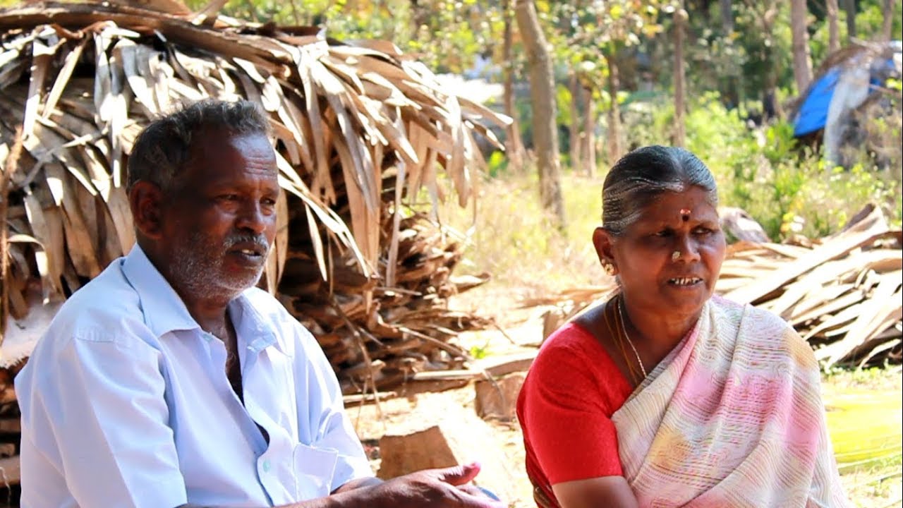 Panai Olai Pinnal (Palm Leaf Weaving): A Craft Documentary