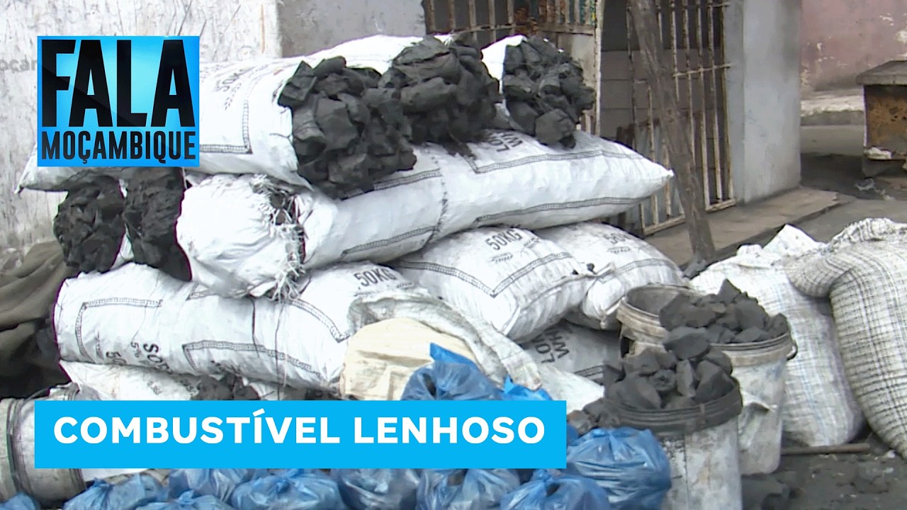 Entrada de carvão vegetal contribui para ligeira descida do preço em Maputo