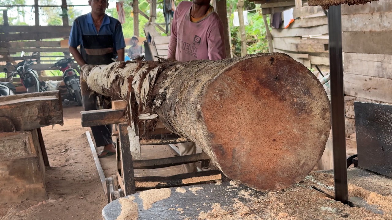 Turning Coconut Trees into 5x10 Lumber with a Sawmill