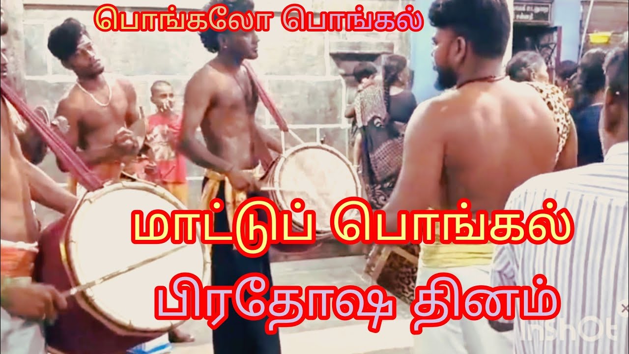 பிரதோஷ #தின வழிபாடு  #மாட்டுப் பொங்கல் #கைலாய வாத்தியம் #musical