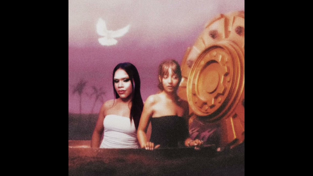 Pinkpanthress &mdash; Feel Police (featuring Indaiass & Olga Charles) The Severina Remix