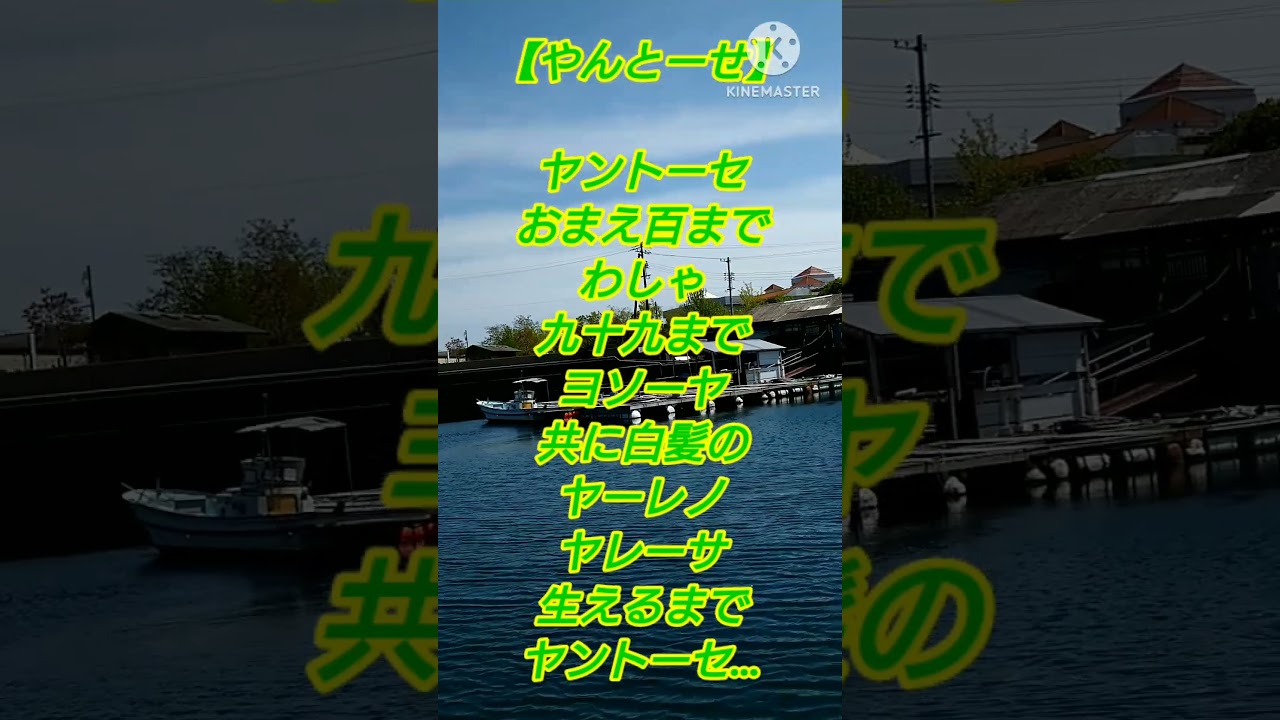 ふるさとの唄〜語り継ごう古きよき唄物語〜　＃周防大島　＃安下庄　＃長尾八幡宮　＃天神祭り　＃盆踊り　＃星野哲郎　＃宮本常一　＃恵比寿神社　＃えびす様　＃やんとーせ　＃いのこ唄　＃亥の子　