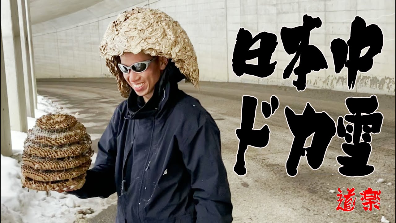 日本中ドカ雪