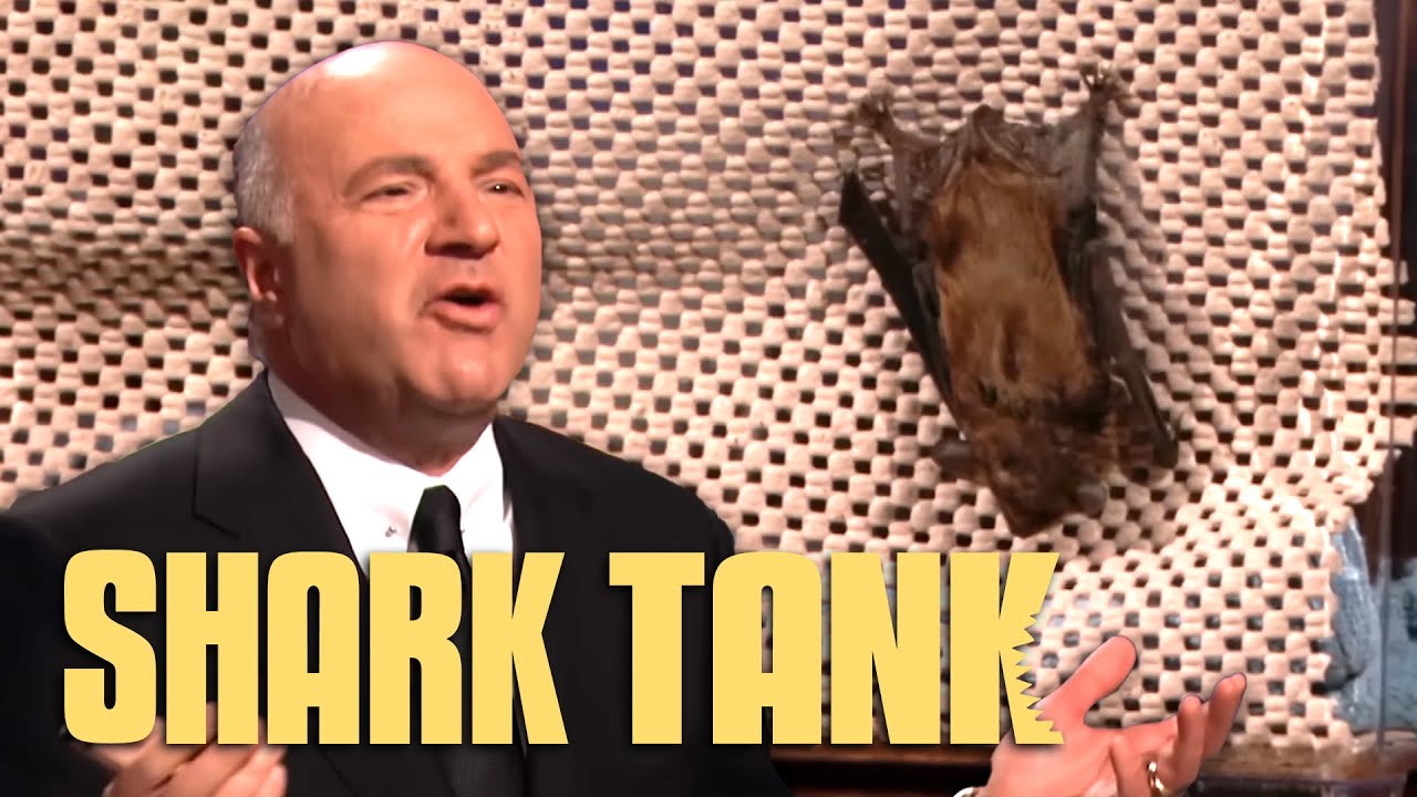 BatBNB Showcases Kevin O'Leary's Passion For Bats | Shark Tank US | Shark Tank Global