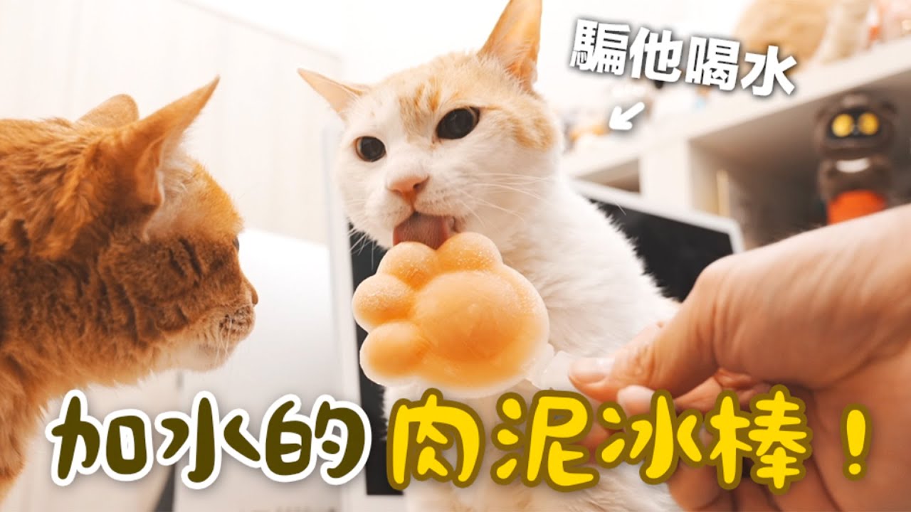 【黃阿瑪的後宮生活】加水的肉泥冰棒！騙貓咪喝水！