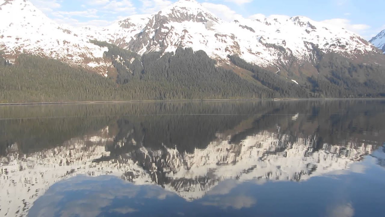 MV003 reflection