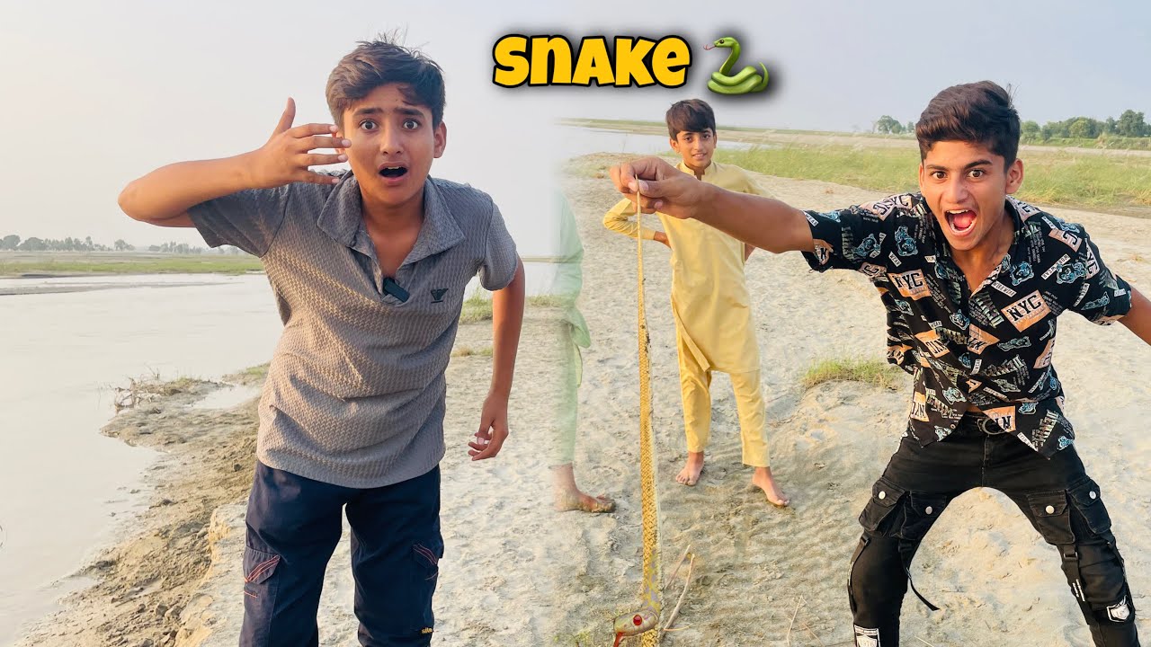Drya Main Sy Snake 🐍 Mila