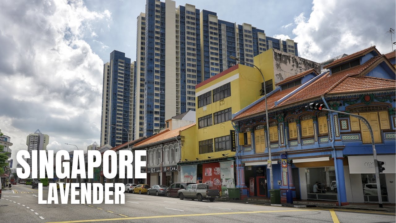 Singapore City: Lavender Neighbourhood Walking Tour (4K HDR)