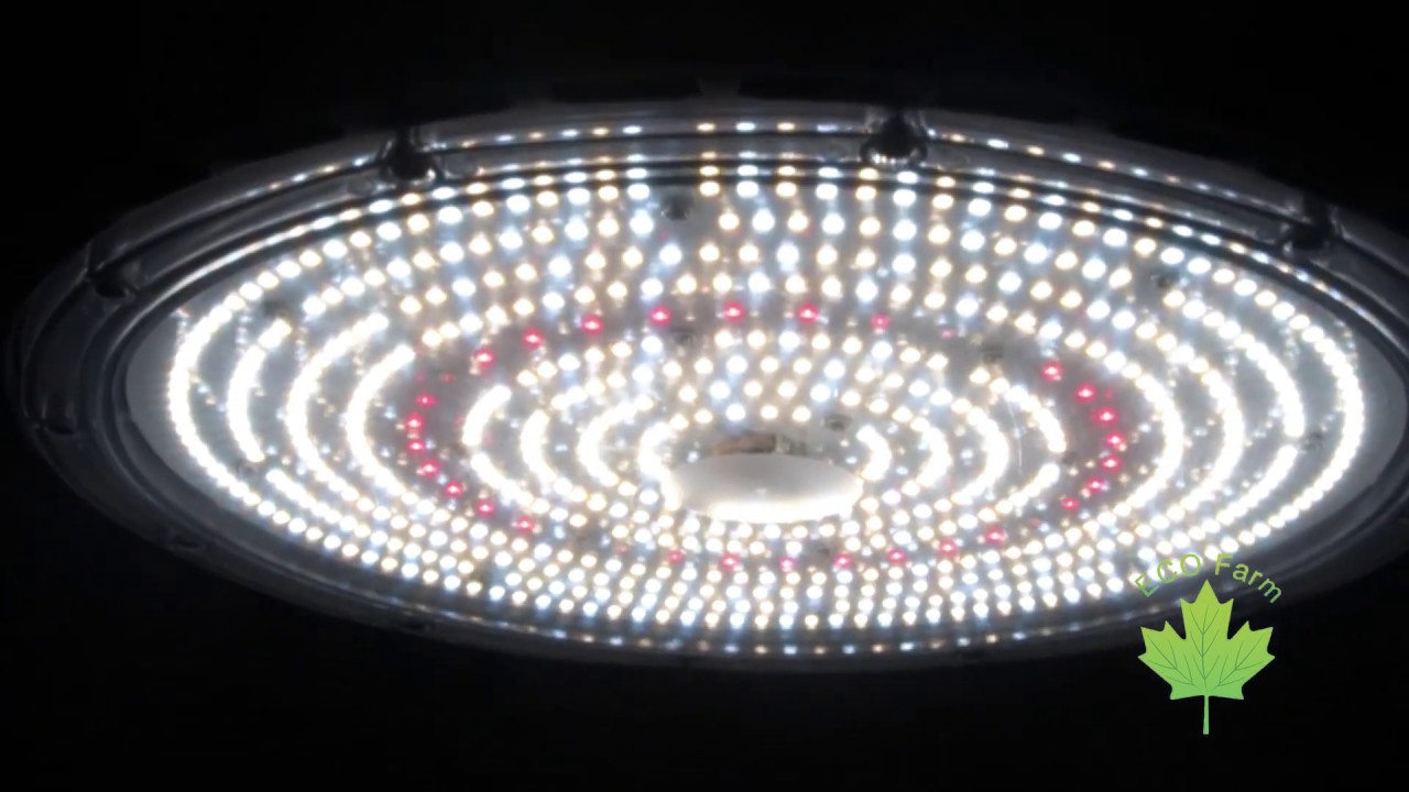 ECO FARM LAMPE DE CULTURE &Agrave; LED UFO 100W/150W/200W SPECTRE COMPLET HAUTE PUISSANCE