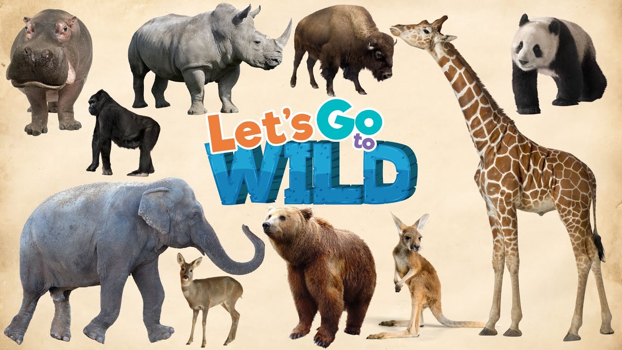 Animals of the World for Kids – Learning How to Spell the Names of the Animal Kingdom