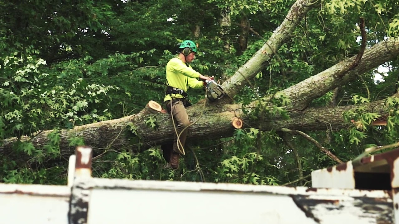 Crane Crew Storm Damage Tree Removal