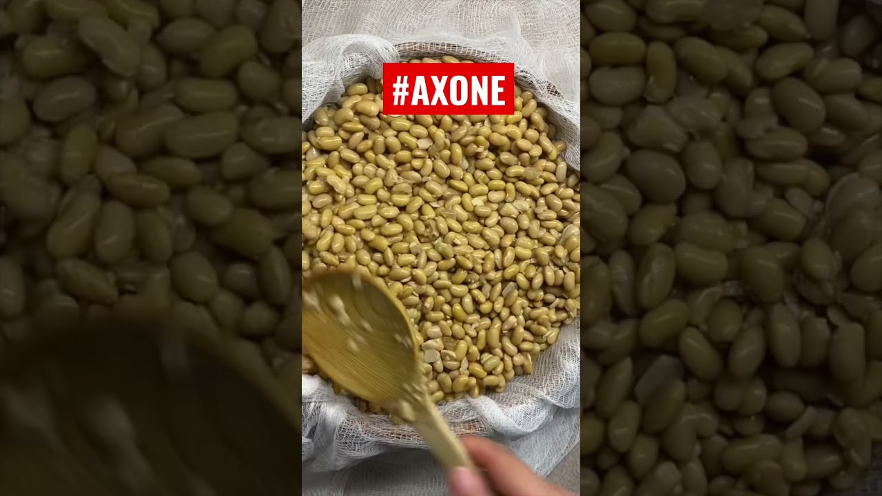 MAKING #AXONE (NATTO IN JAPANESE) IN CANADA 🇨🇦 WITH HEATING PAD