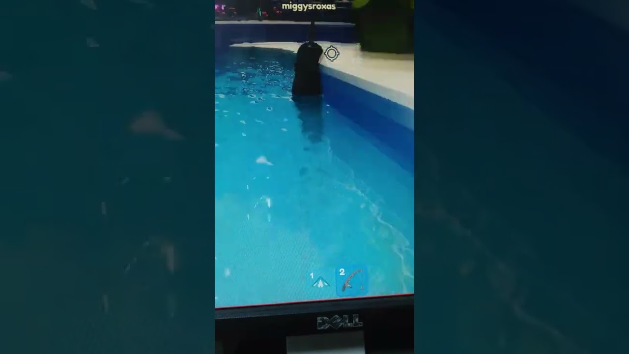 #roblox #glitch it's a glitch in penguin tycoon in roblox guys please subcribe