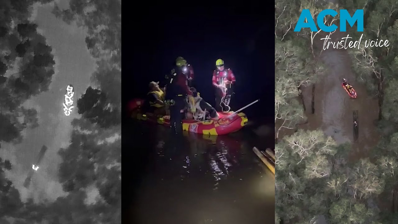 Extraordinary rescue of couple and six dogs as NSW flood clean-up begins