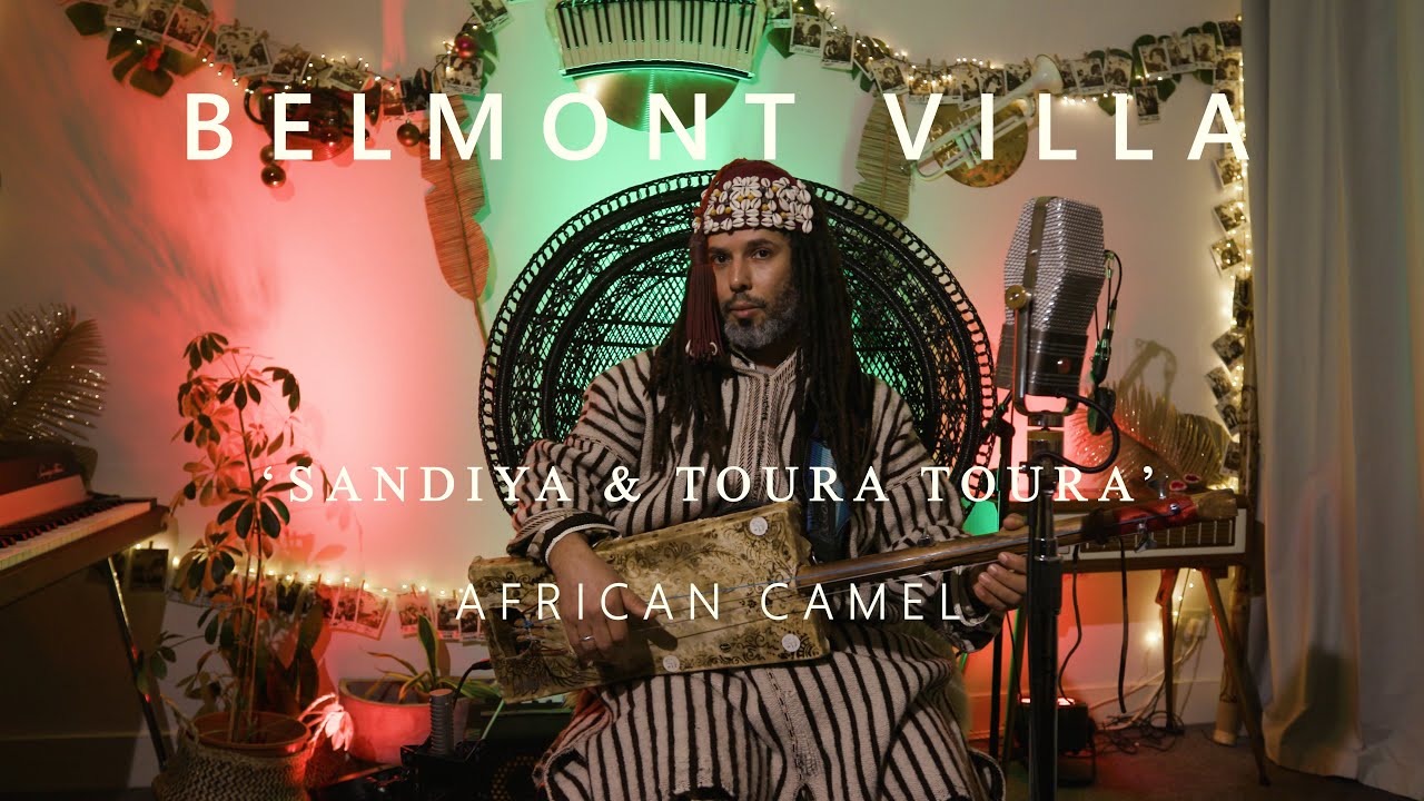 AFRICAN CAMEL - Live at 