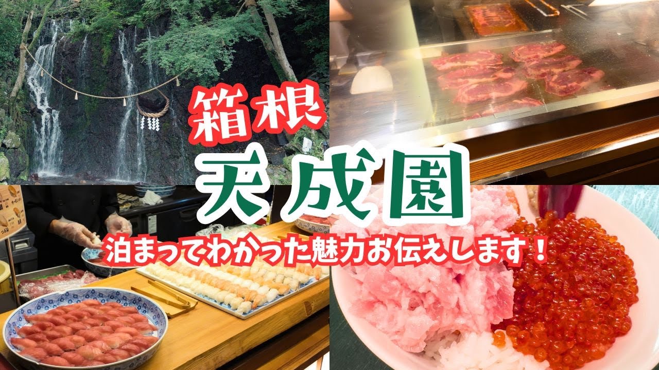 【箱根温泉旅】箱根湯本の温泉宿 天成園｜海鮮丼朝食＆庭園散策が最高