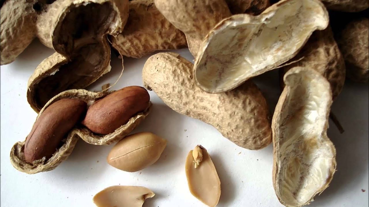 (3D binaural sound) Asmr cracking and rustling sounds of peeling peanuts