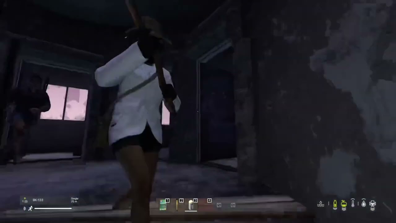 Chaos in the PD - DayZ PS5