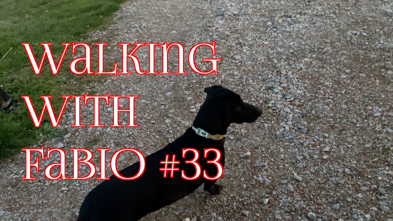 Walking with Fabio    Sundown #33