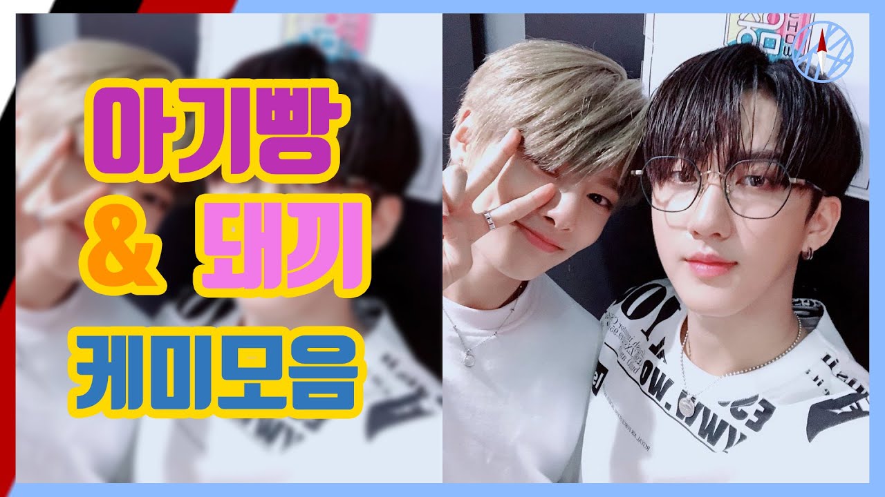 빵꿀즈.zip