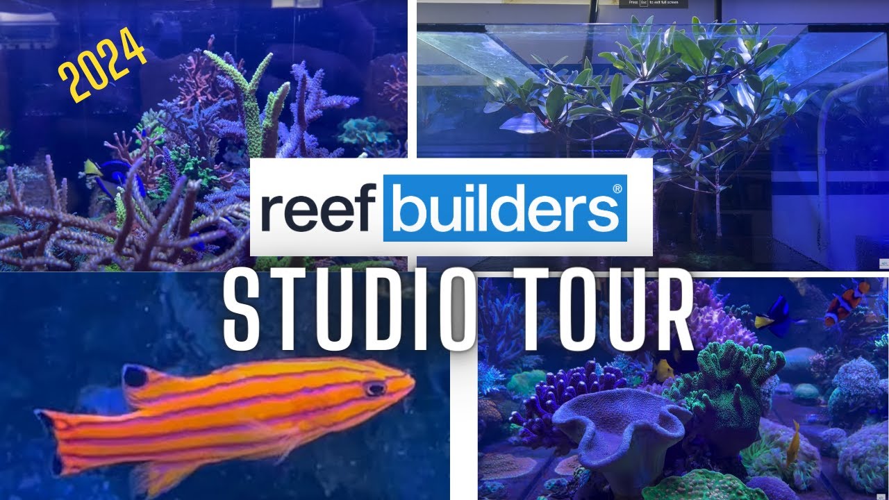 2024 Tour of the Reef Builders Studio