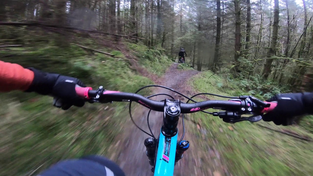 Kirroughtree Blue Route - mtb