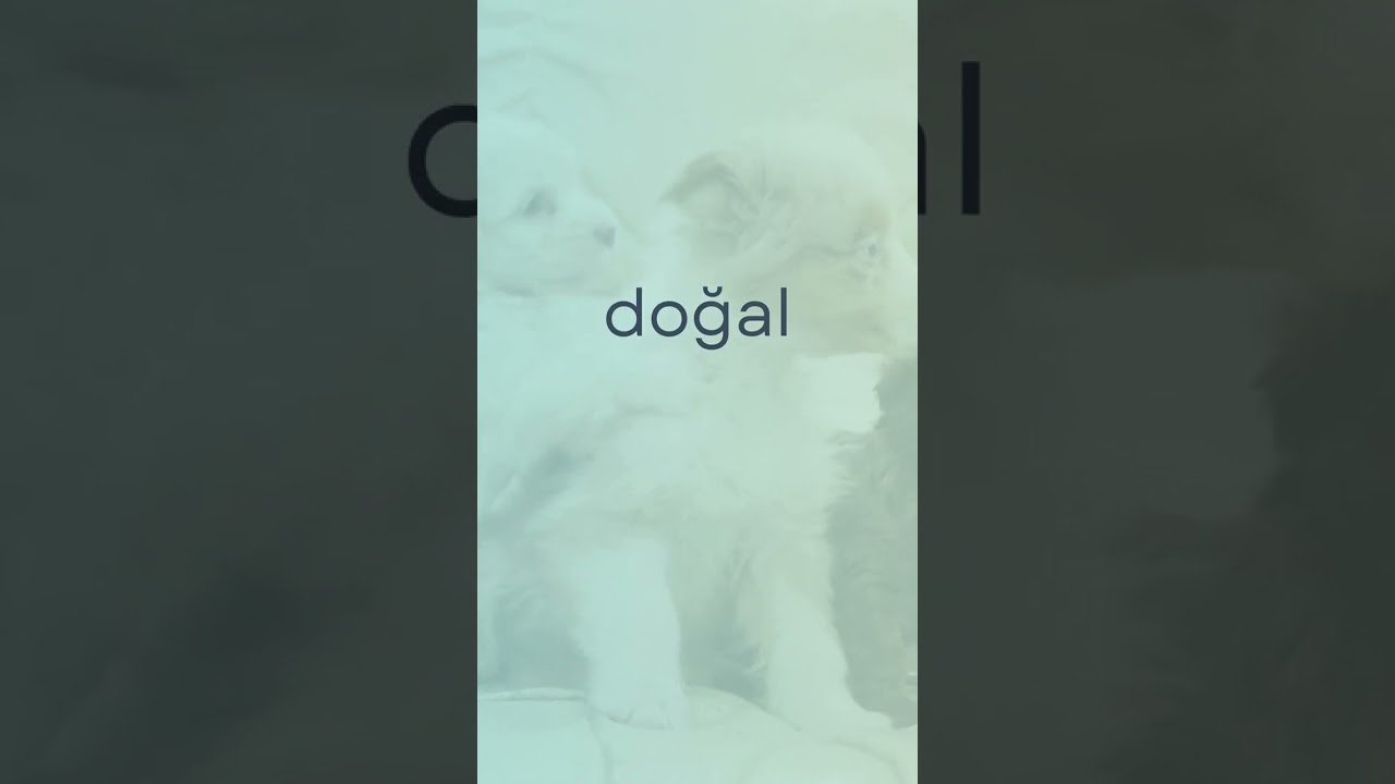 3 Al 2 Öde! Üstelik Ekstra İndirimle!