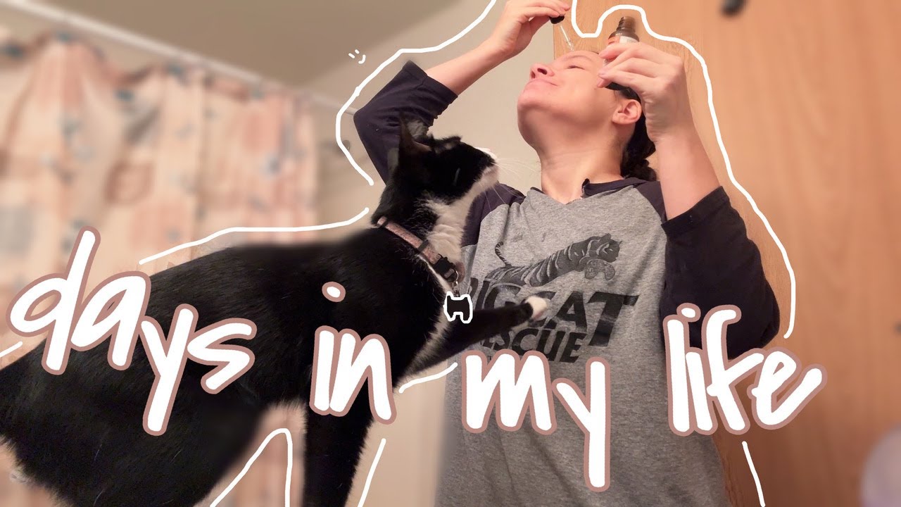 A Few Days In My Life In February (2025)