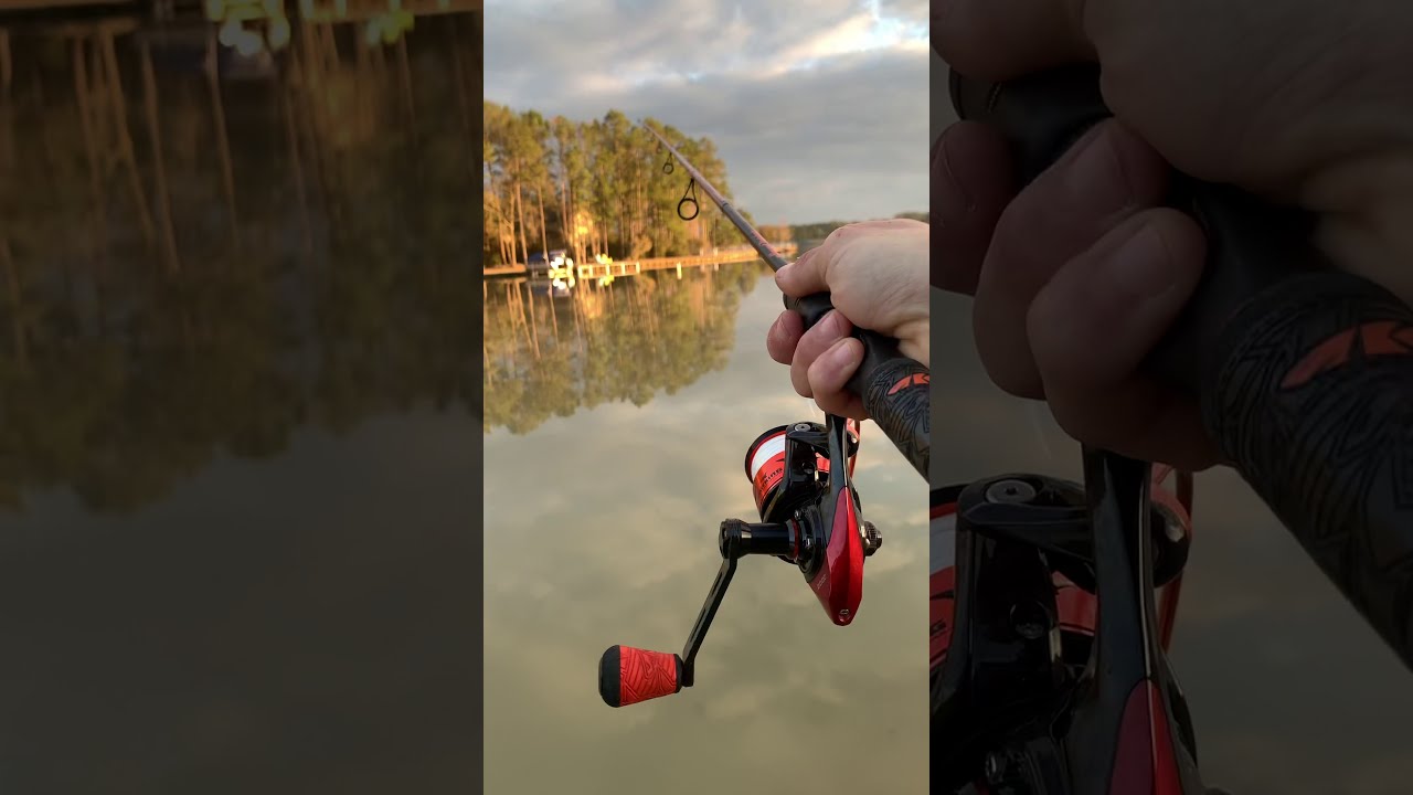 Casting WORLDS FASTEST SPINNING REEL #shorts - KastKing SPEED DEMON PRO